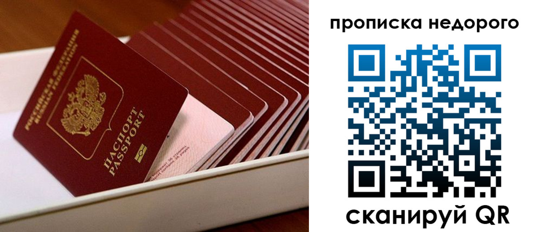 прописка паспорт в Гороховце